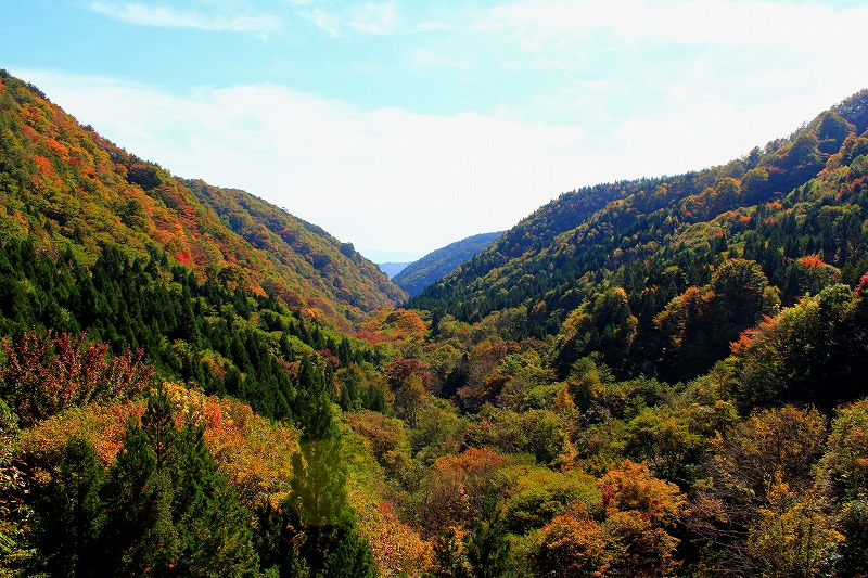 南昌山 紅葉ポイント